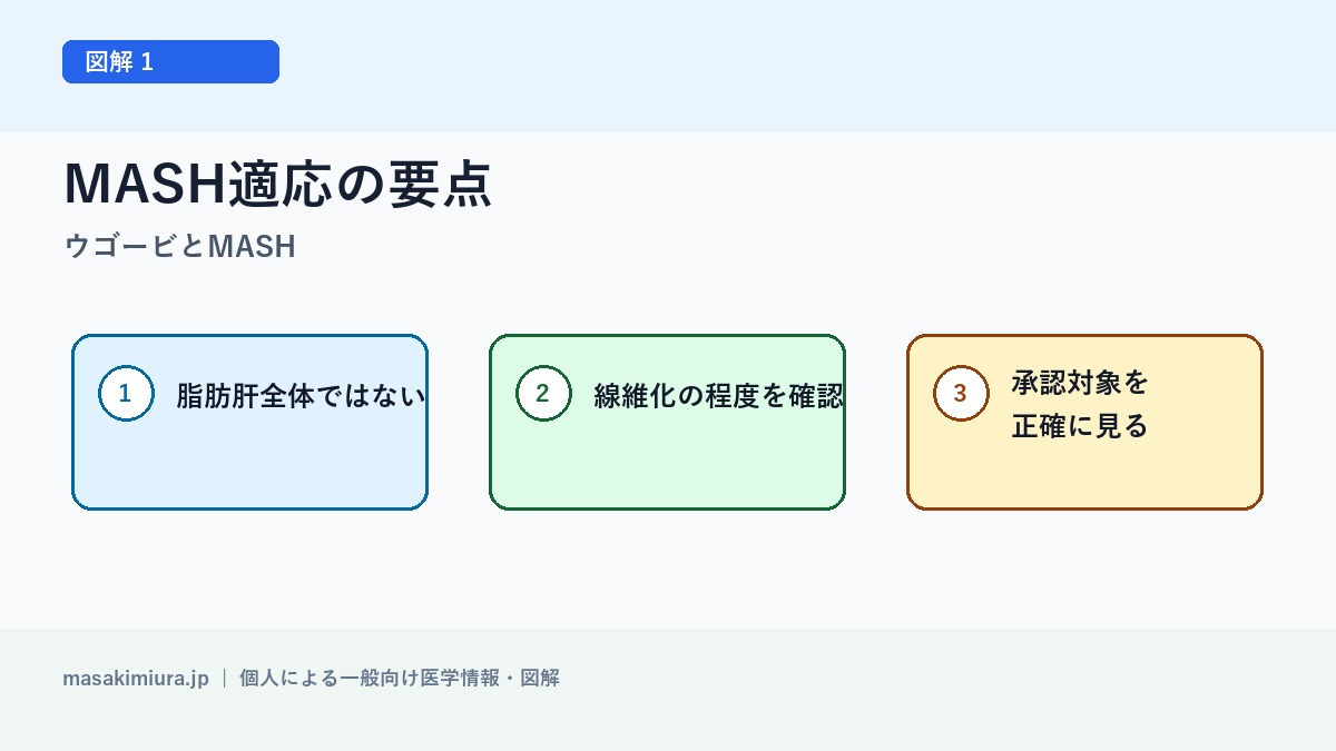 ウゴービとMASHの図解1: MASH適応の要点