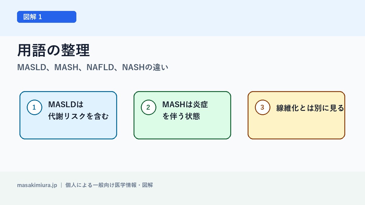 MASLD、MASH、NAFLD、NASHの違いの図解1: 用語の整理