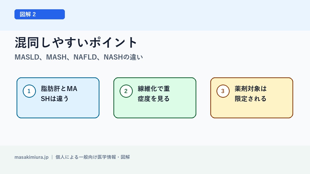 MASLD、MASH、NAFLD、NASHの違いの図解2: 混同しやすいポイント