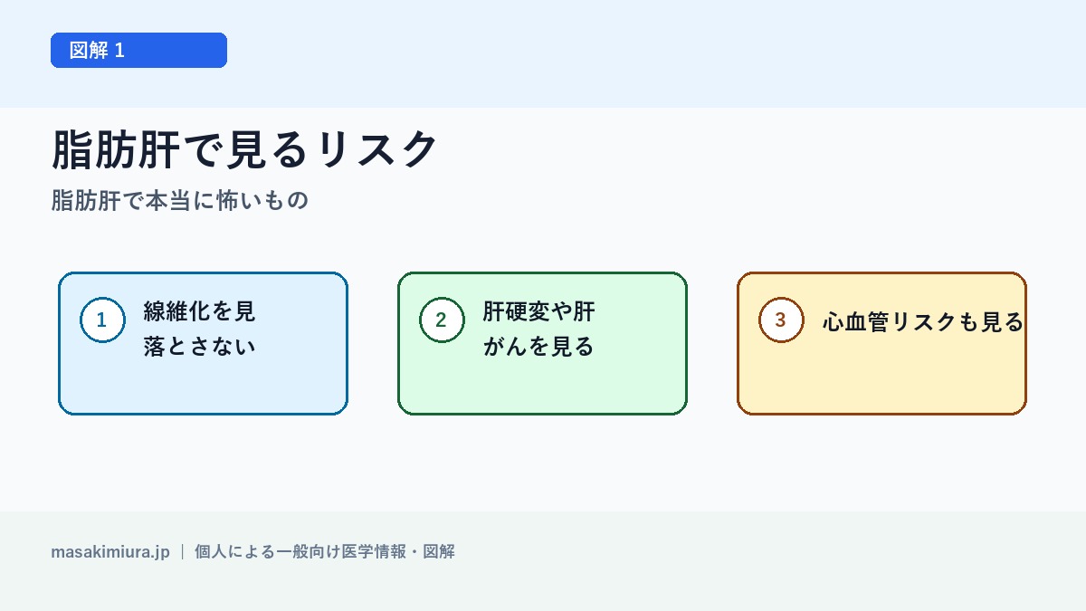 脂肪肝で本当に怖いものの図解1: 脂肪肝で見るリスク