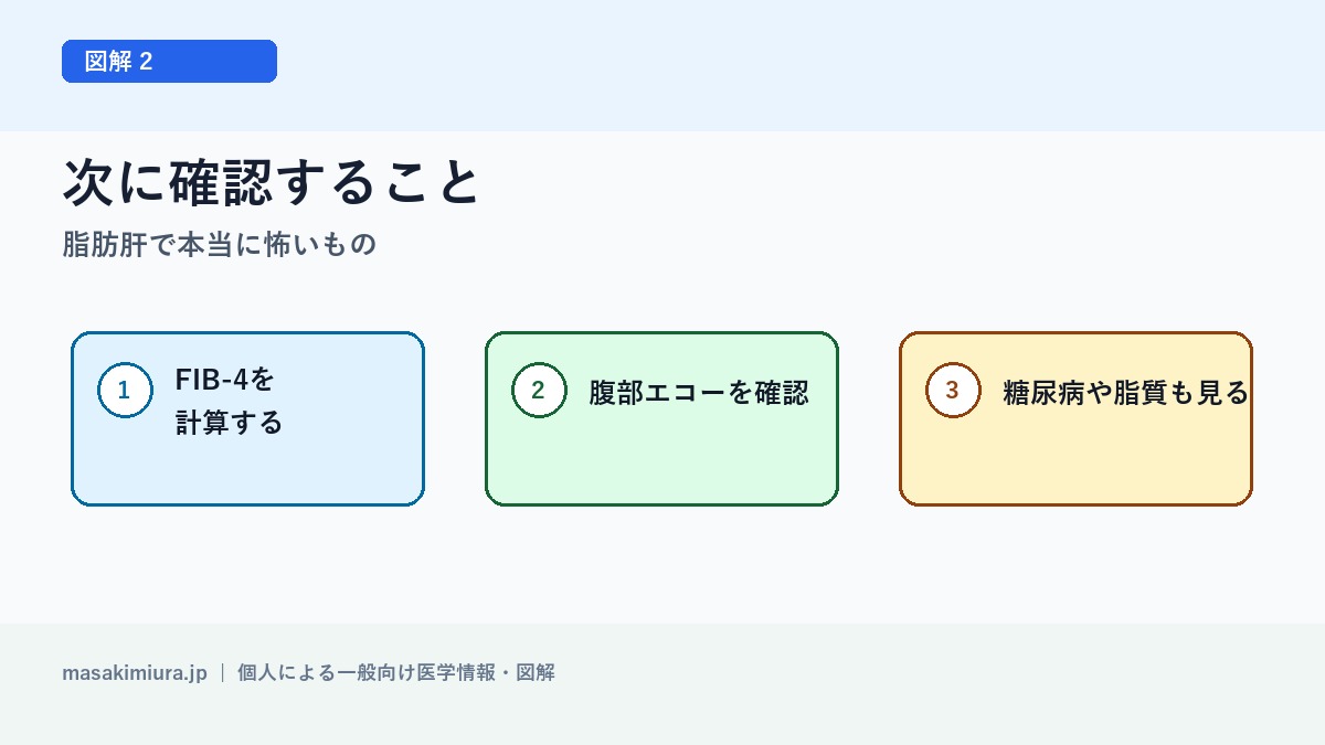 脂肪肝で本当に怖いものの図解2: 次に確認すること