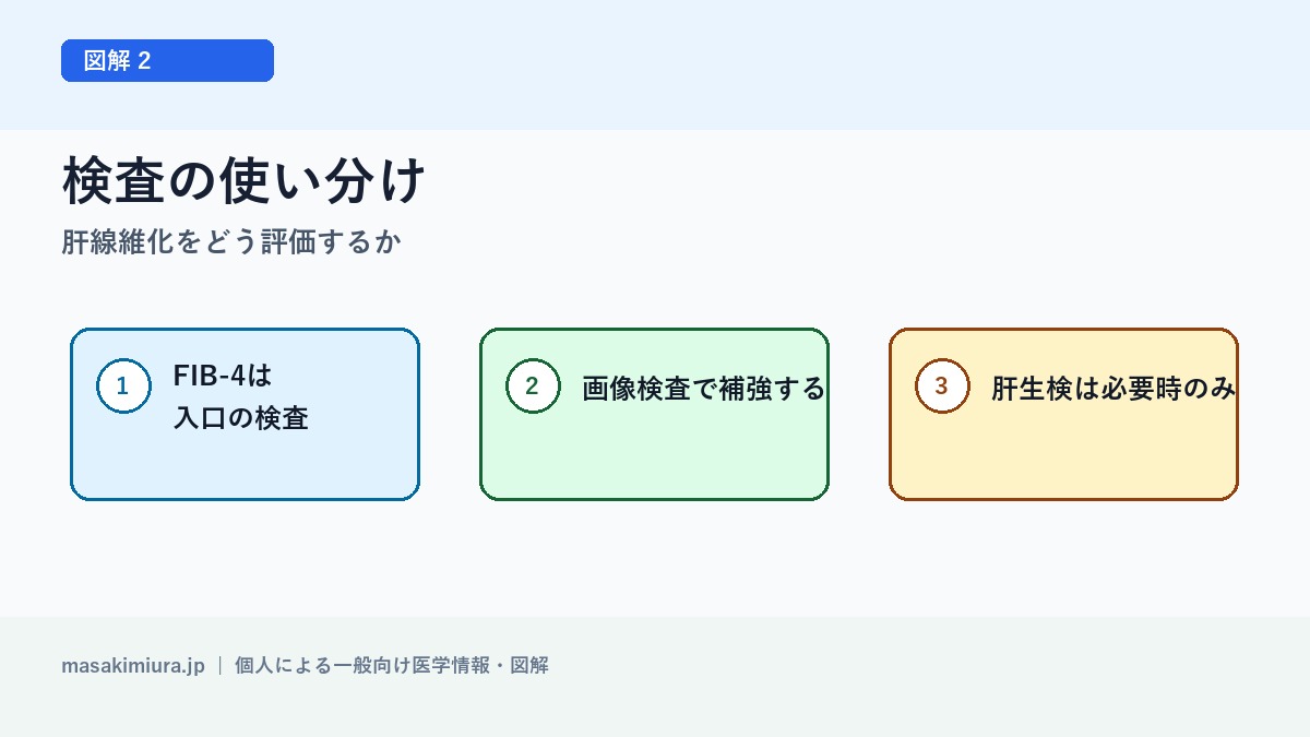 肝線維化をどう評価するかの図解2: 検査の使い分け