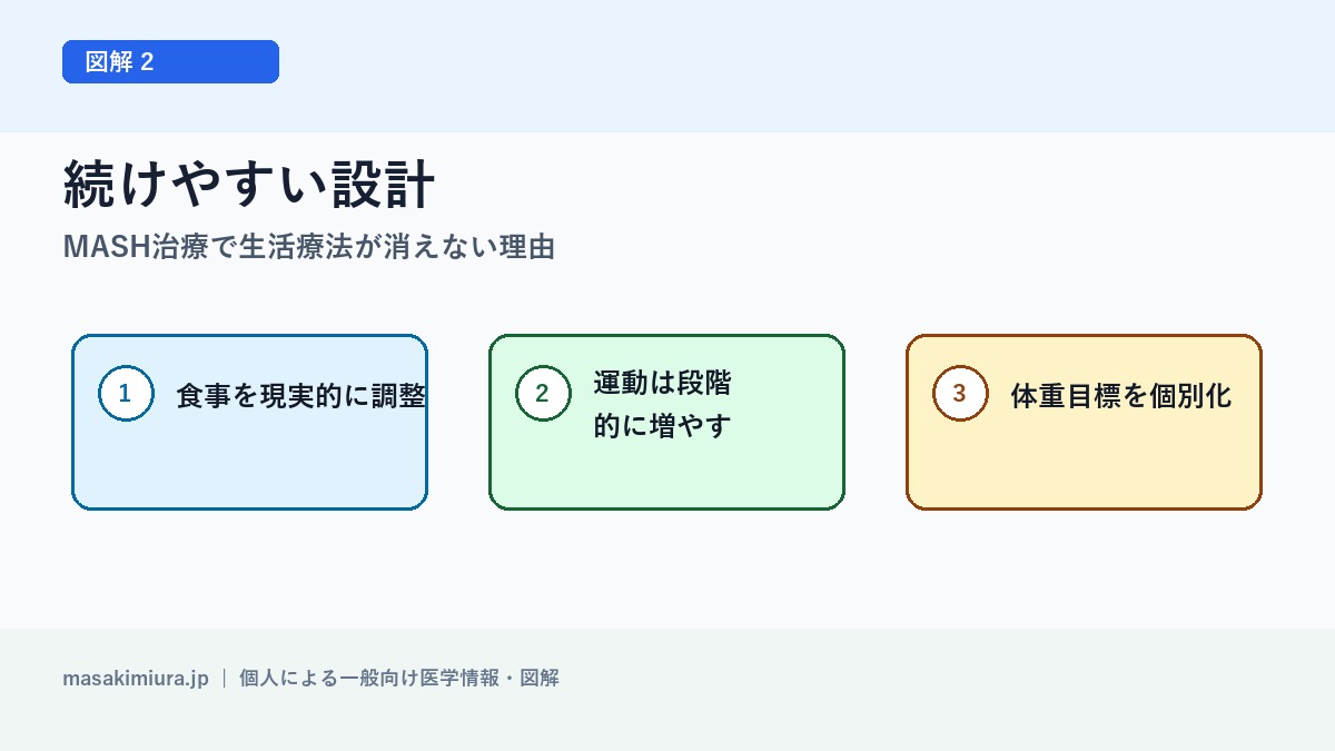 MASH治療で生活療法が消えない理由の図解2: 続けやすい設計