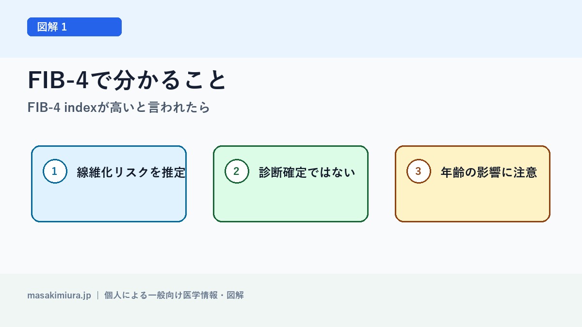 FIB-4 indexが高いと言われたらの図解1: FIB-4で分かること