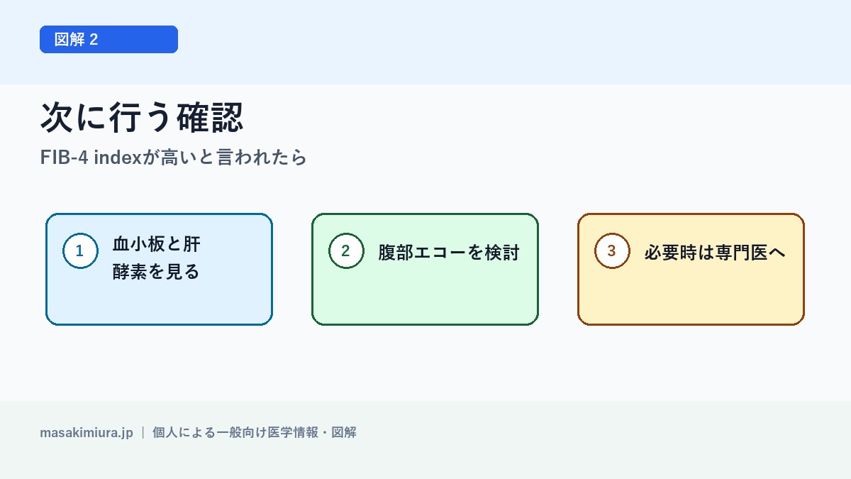 FIB-4 indexが高いと言われたらの図解2: 次に行う確認
