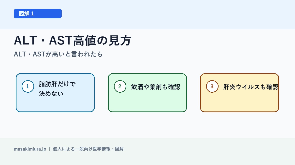 ALT・ASTが高いと言われたらの図解1: ALT・AST高値の見方