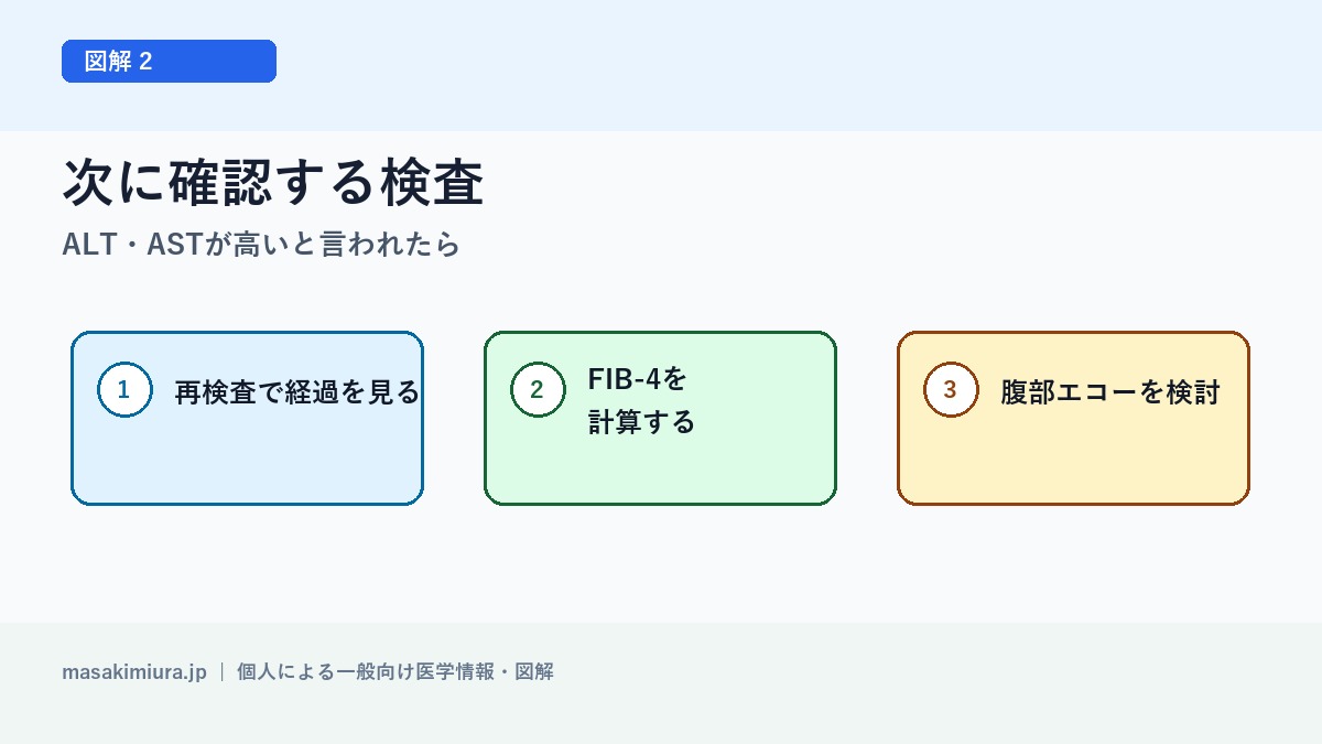 ALT・ASTが高いと言われたらの図解2: 次に確認する検査