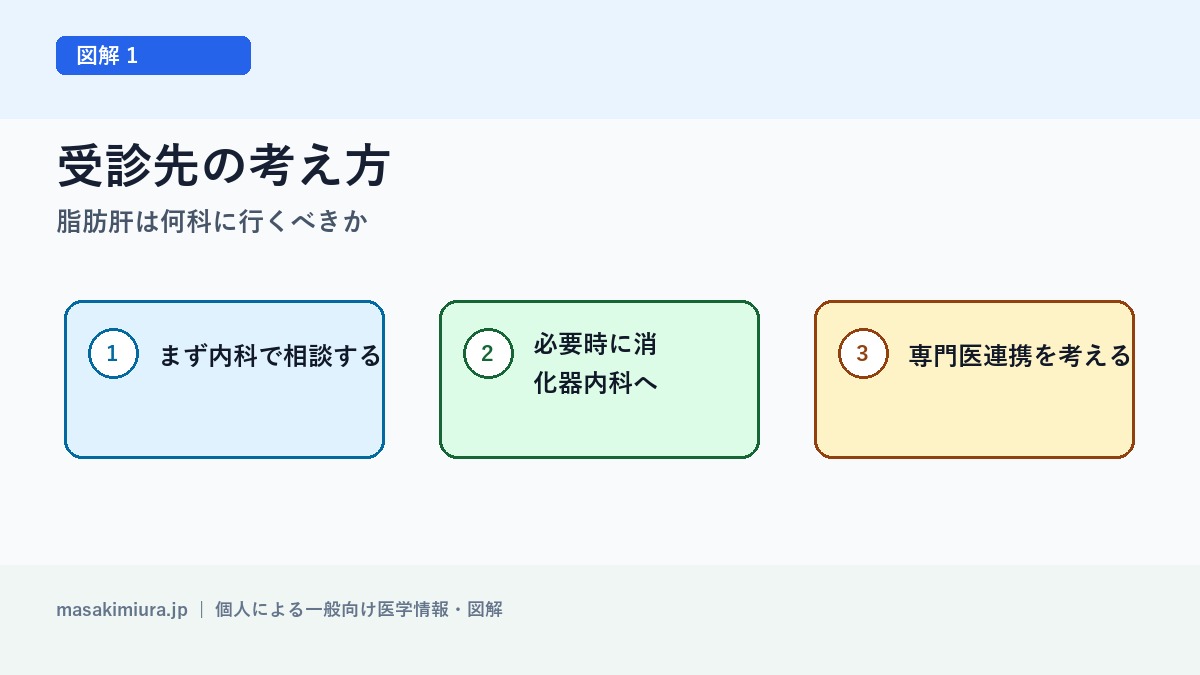 脂肪肝は何科に行くべきかの図解1: 受診先の考え方