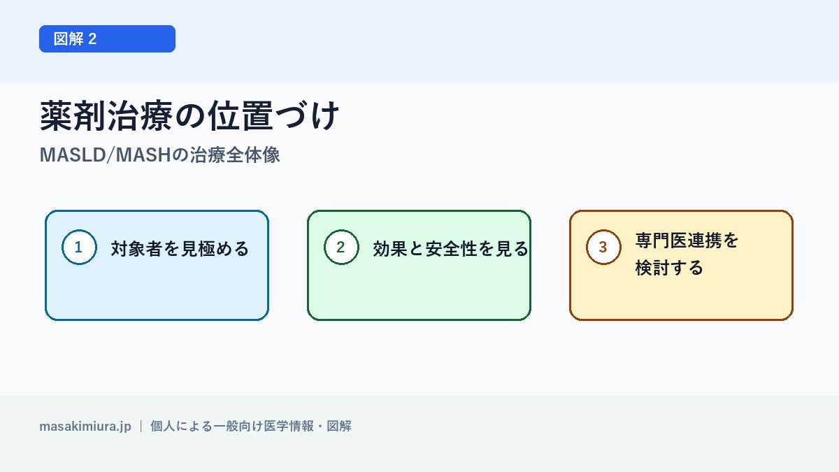 MASLD/MASHの治療全体像の図解2: 薬剤治療の位置づけ