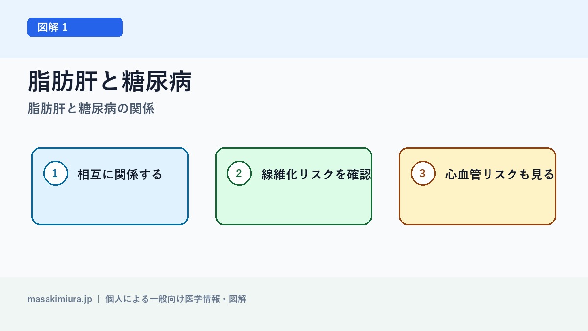 脂肪肝と糖尿病の関係の図解1: 脂肪肝と糖尿病