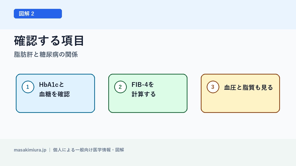 脂肪肝と糖尿病の関係の図解2: 確認する項目