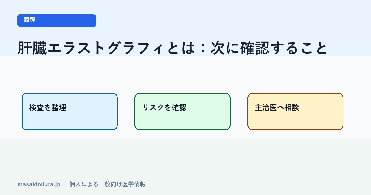 肝臓エラストグラフィとはの図解2