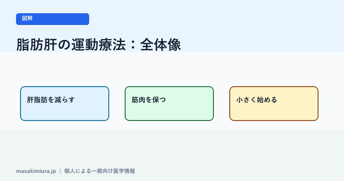 脂肪肝の運動療法の図解1