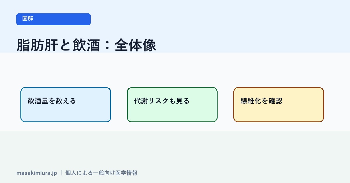 脂肪肝と飲酒の図解1