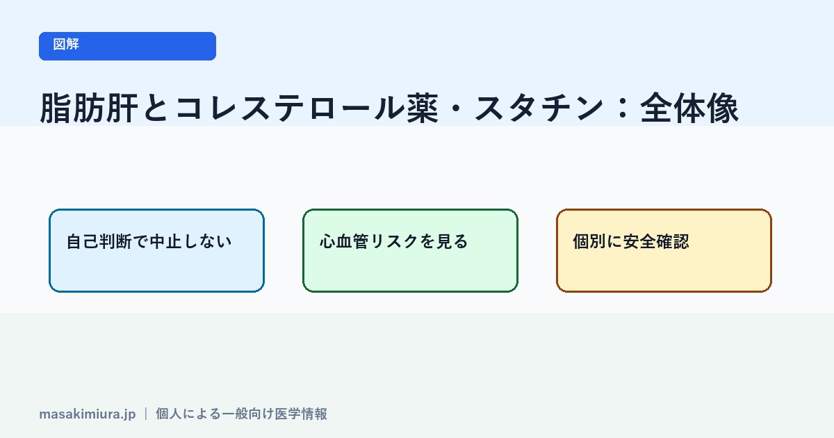 脂肪肝とコレステロール薬・スタチンの図解1