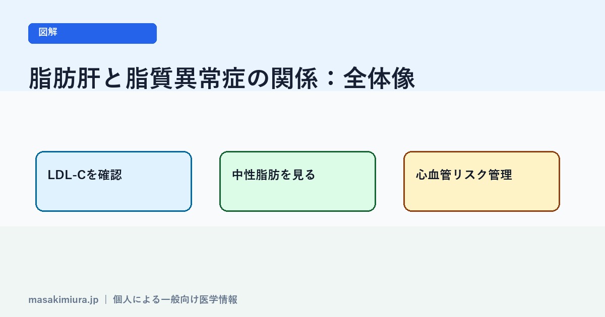 脂肪肝と脂質異常症の関係の図解1