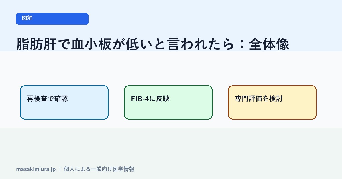 脂肪肝で血小板が低いと言われたらの図解1