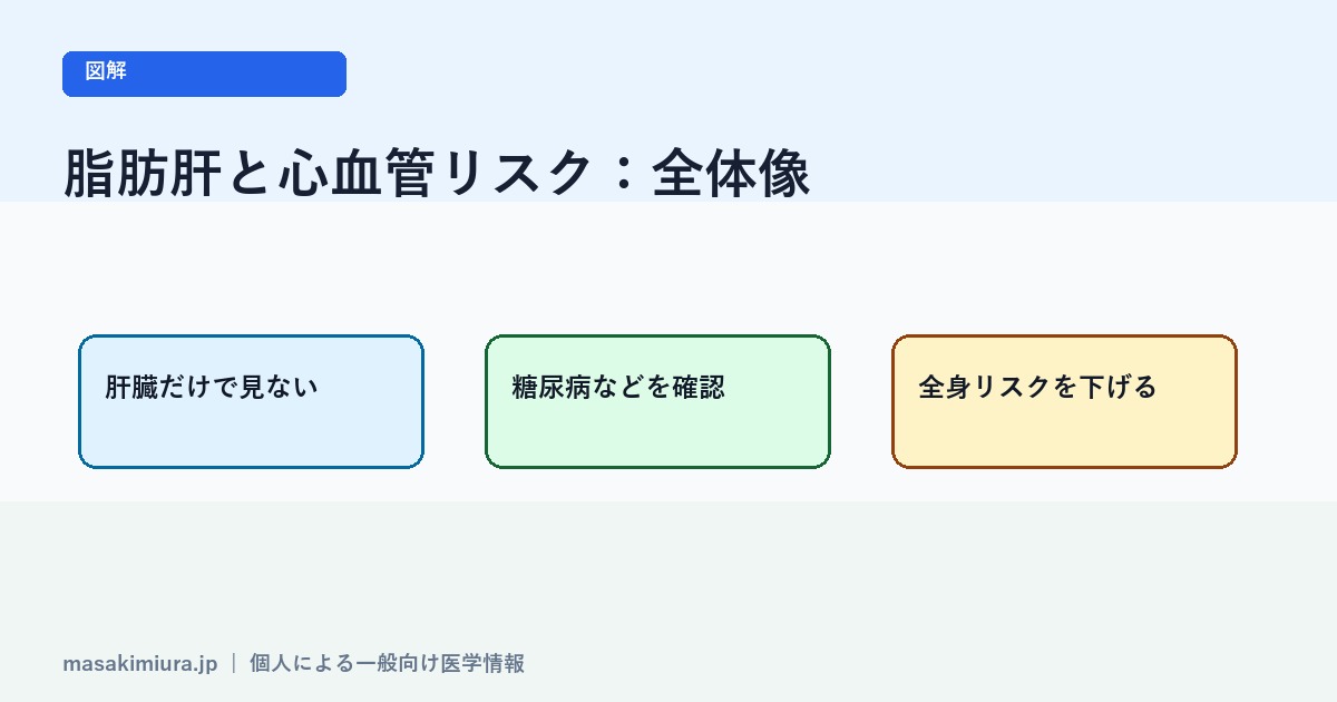 脂肪肝と心血管リスクの図解1
