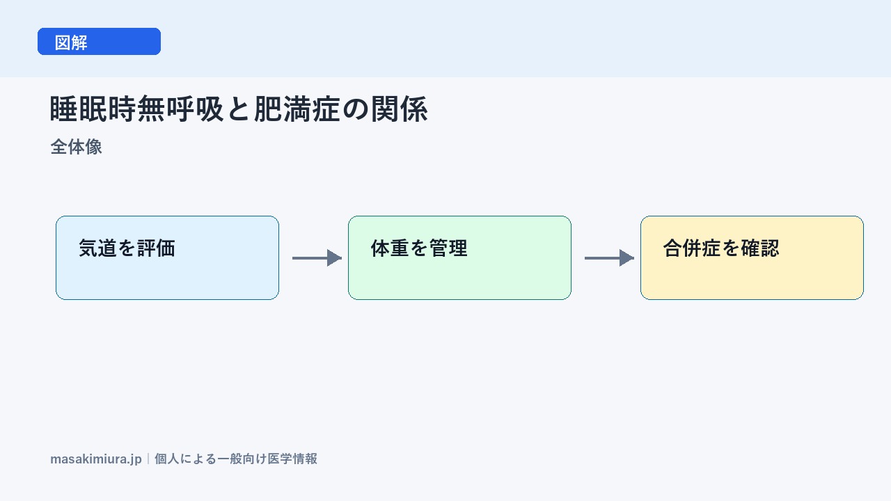 睡眠時無呼吸と肥満症の関係の全体像