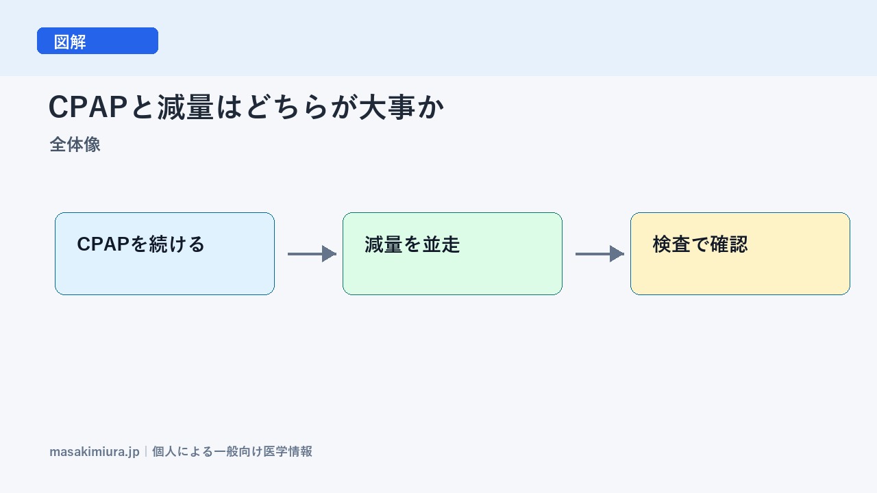 CPAPと減量はどちらが大事かの全体像
