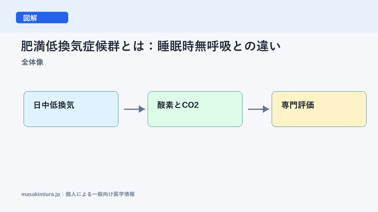 肥満低換気症候群とは：睡眠時無呼吸との違いの全体像