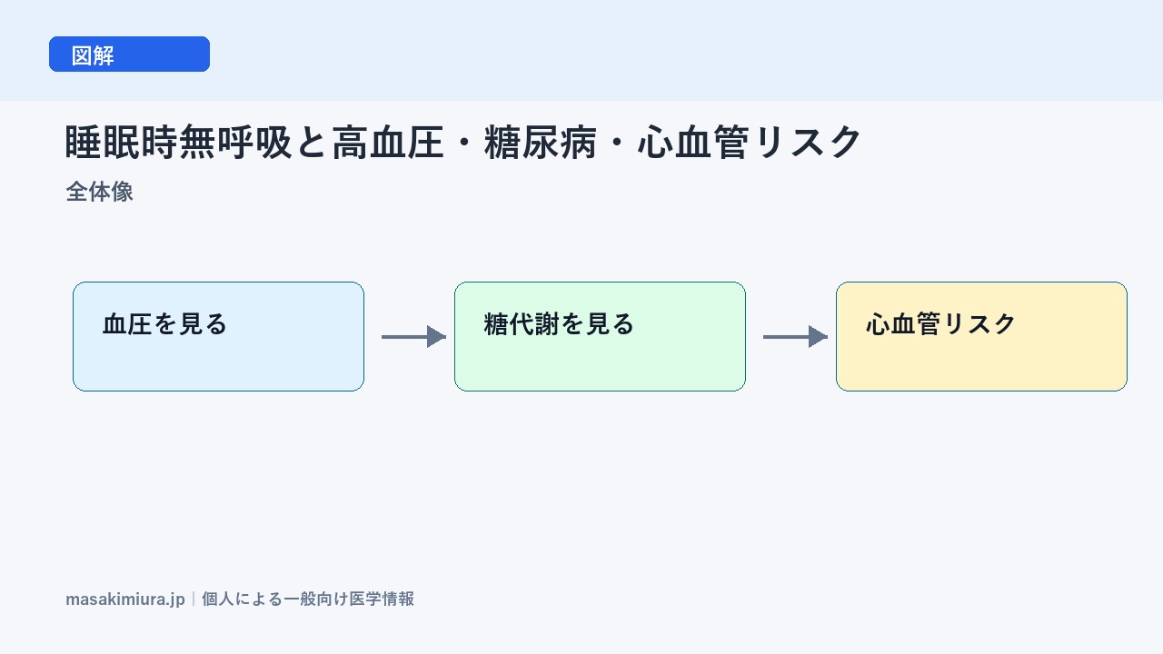 睡眠時無呼吸と高血圧・糖尿病・心血管リスクの全体像