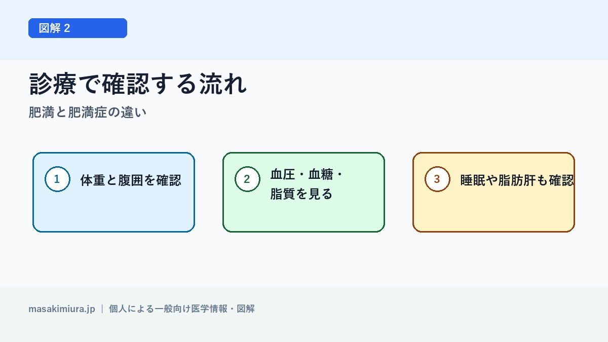肥満と肥満症の違いの図解2: 診療で確認する流れ