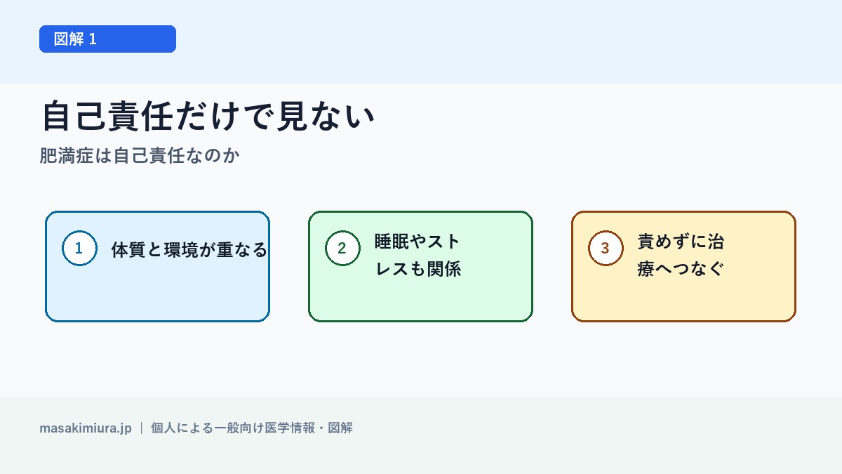 肥満症は自己責任なのかの図解1: 自己責任だけで見ない