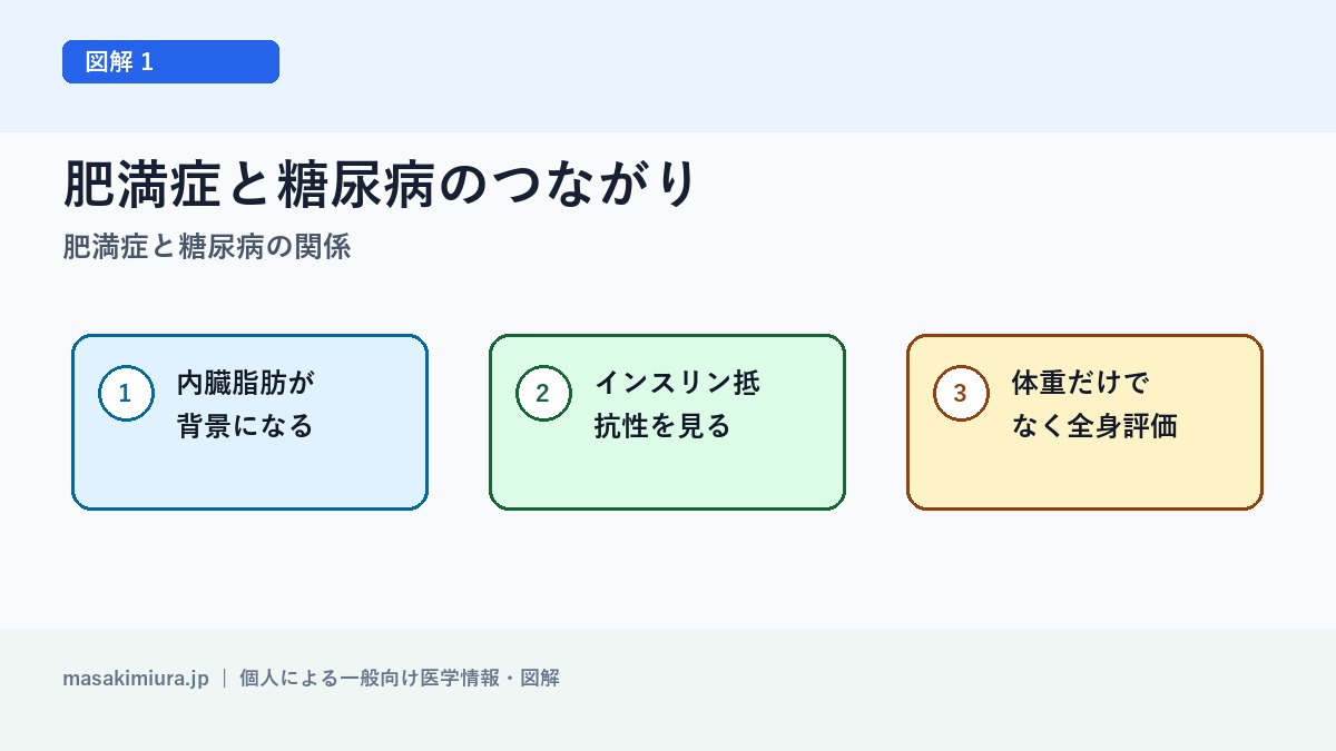肥満症と糖尿病の関係の図解1: 肥満症と糖尿病のつながり