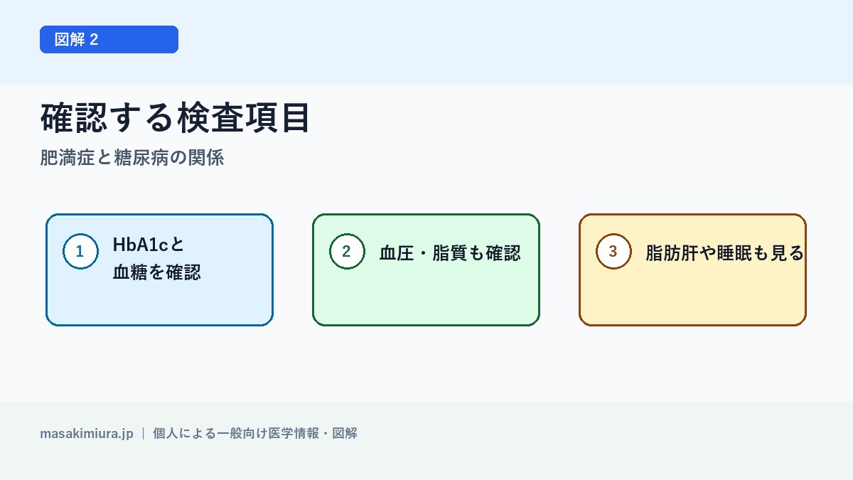 肥満症と糖尿病の関係の図解2: 確認する検査項目