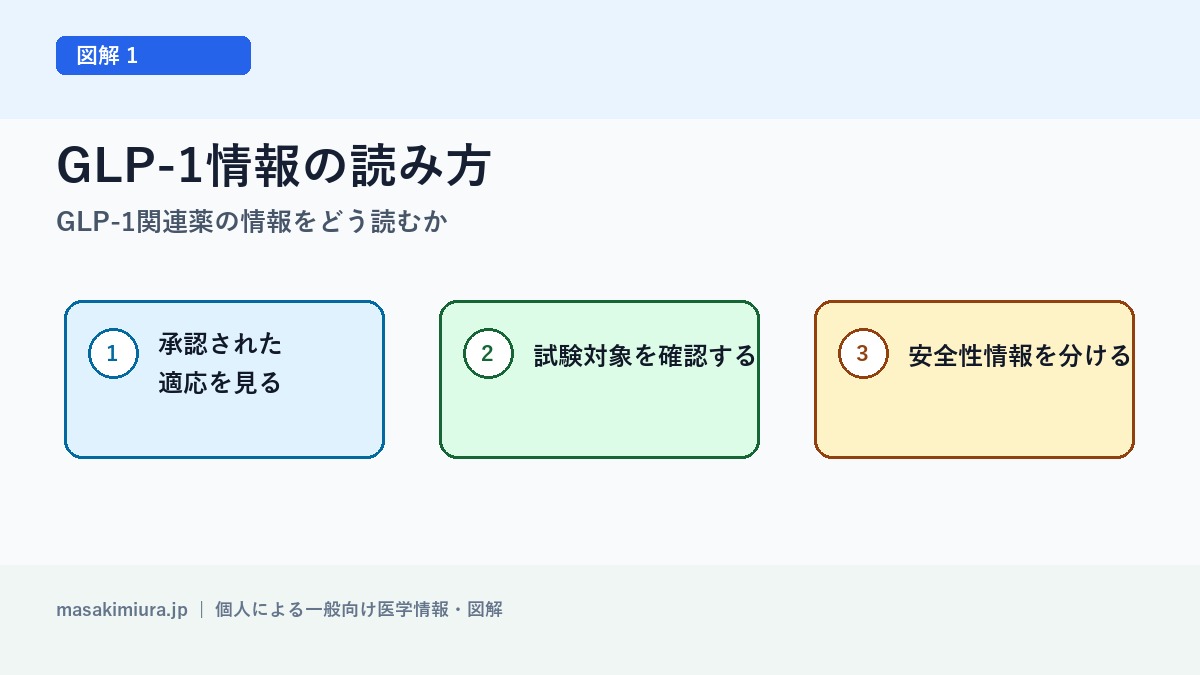 GLP-1関連薬の情報をどう読むかの図解1: GLP-1情報の読み方