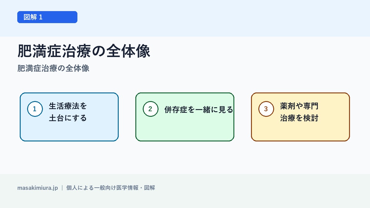 肥満症治療の全体像の図解1: 肥満症治療の全体像