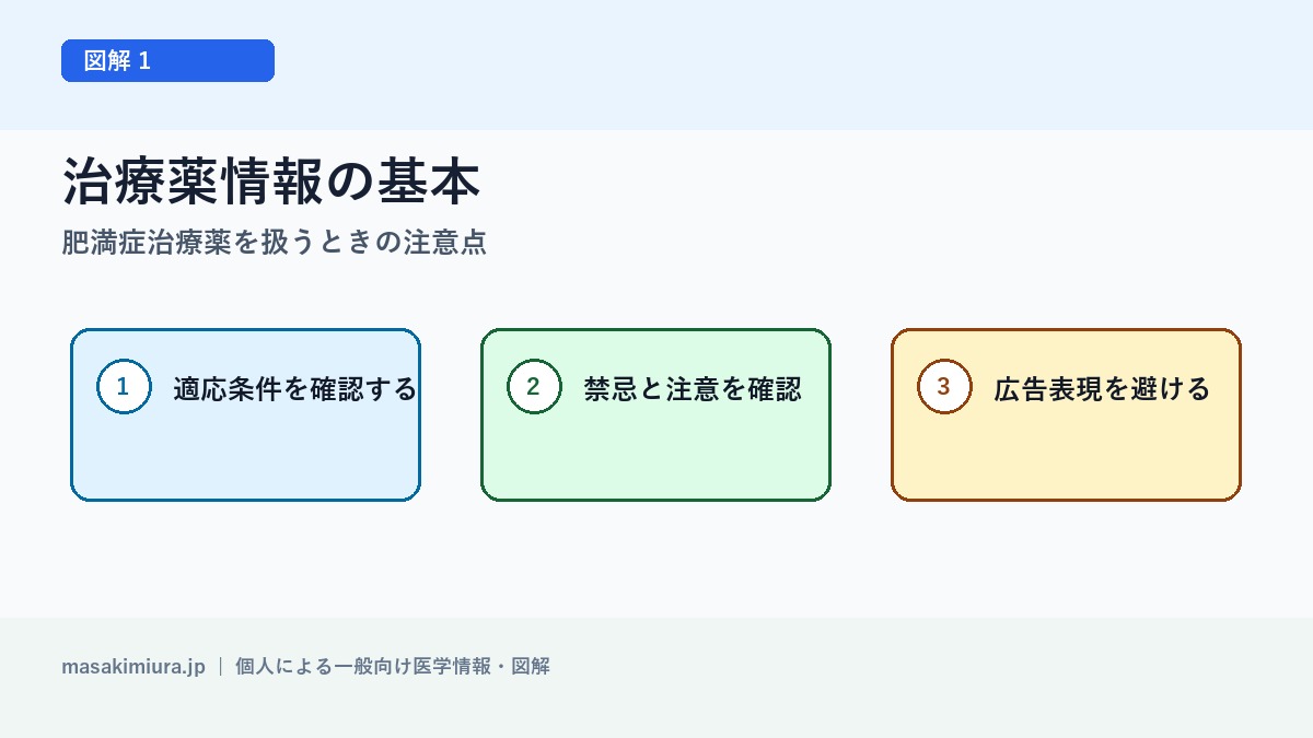 肥満症治療薬を扱うときの注意点の図解1: 治療薬情報の基本