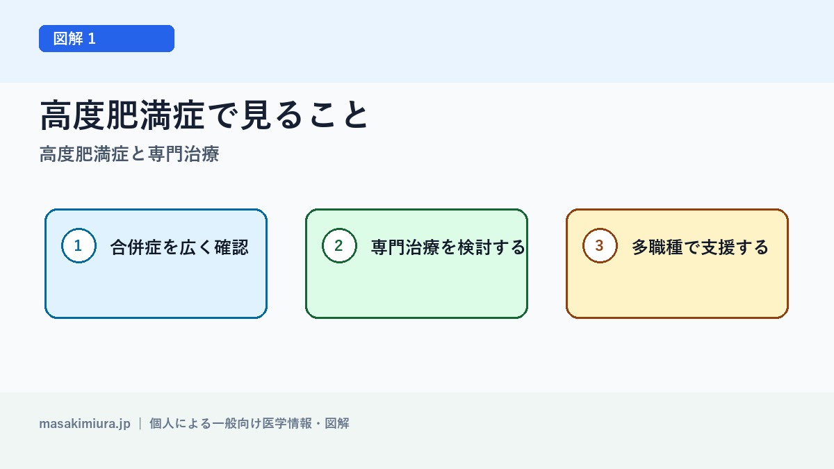 高度肥満症と専門治療の図解1: 高度肥満症で見ること