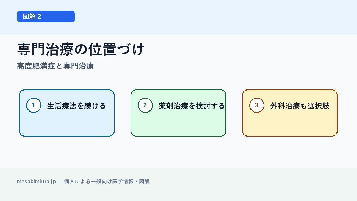 高度肥満症と専門治療の図解2: 専門治療の位置づけ